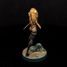 Picture of print of Reverse Mermaid 1 [pre-supported]