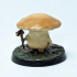 Shroo the Myconid (presupported) image