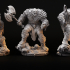 Orc - Bhorlok - MASTERS OF DUNGEONS QUEST image