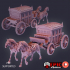 Horse Drawn Carriage / Undead Horse Mount / Gothic Vehicle image