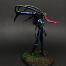 Picture of print of Nightmare Angel Model 003