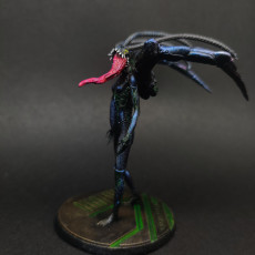 Picture of print of Nightmare Angel Model 003