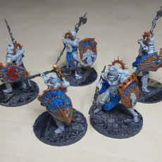 Picture of print of 5X Battle Nun Shield Maidens