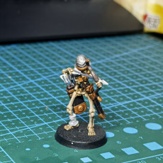 Picture of print of Skeleton Archer Set !SUPPORTED! !FREE! This print has been uploaded by William Dong