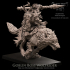 Goblin Boss Wolfrider image