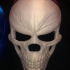 Skull Bone Mask - Halloween Cosplay print image