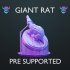 Giant Rat - Pre Supported image