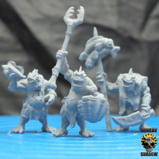 Picture of print of Koa Toa Fish folk Command (pre supported)