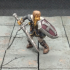 Vampire Hunter; Sword and Shield, Miniature image