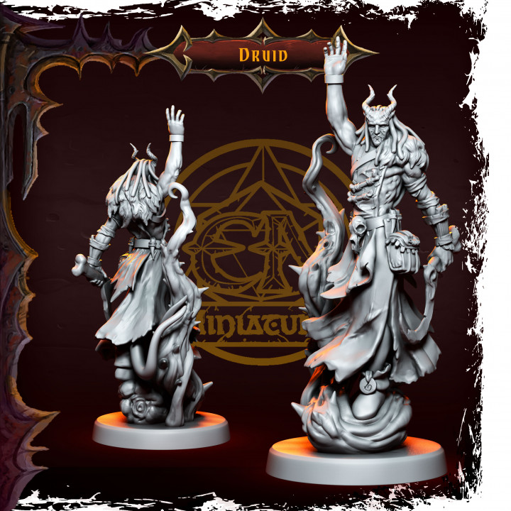 Tarnell Swiftthorn - Infernal Druid - Male's Cover