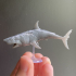 Great Wight Shark (Undead) - Tabletop Miniature image