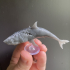 Great Wight Shark (Undead) - Tabletop Miniature (Pre-Supported) image