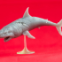 Great Wight Shark (Undead) - Tabletop Miniature (Pre-Supported) print image
