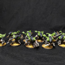 Picture of print of Black Claw Clan - Shadow Blades