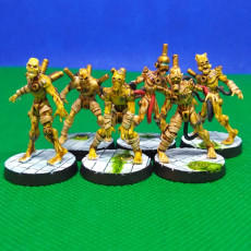 Picture of print of Dregborn Thrall Pack
