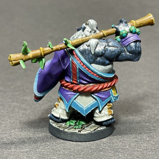 Picture of print of Sam Wisecloud, the Dojo Master Panda