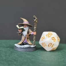 Picture of print of Gnome Wizards (Male + Female)