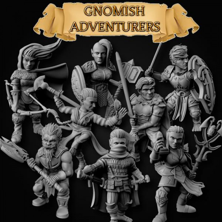 Gnomish Adventurers (Male + Female)'s Cover
