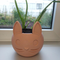 Picture of print of Cat face Flower vase
