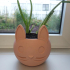 Cat face Flower vase print image