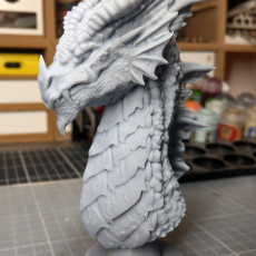 Picture of print of Red Dragon Bust (Pre-Supported) This print has been uploaded by Empire of Minis