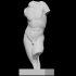 Marble torso of a youth image