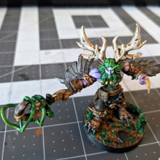 Picture of print of Stormrage Night Elf attack posed - 32mm scale printable miniature This print has been uploaded by Erik