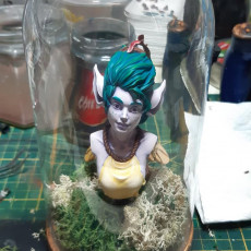 Picture of print of Pixie bust pre-supported This print has been uploaded by Grégory Karcz