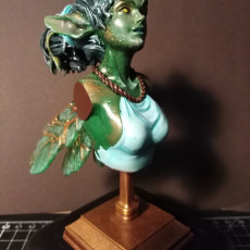 Picture of print of Pixie bust pre-supported