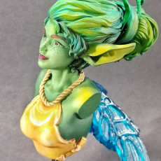 Picture of print of Pixie bust pre-supported