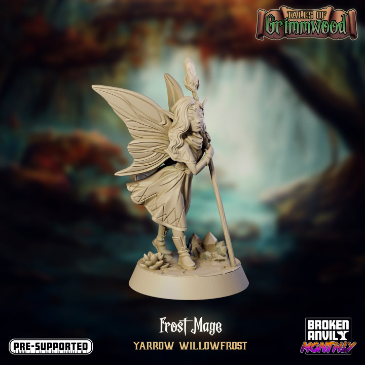 $5.00Tales of Grimmwood- Fairy Frost Mage