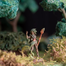 Picture of print of Tales of Grimmwood- Dryad Set