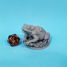 Picture of print of Mother of Froggles pre-supported This print has been uploaded by Dark Arts Minis
