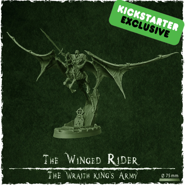 The Wraith King's Army - Add-ons miniatures's Cover