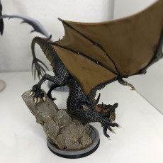 Picture of print of Young Black Dragon