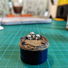 Picture of print of Skull Pond (32mm//Pre-supported)
