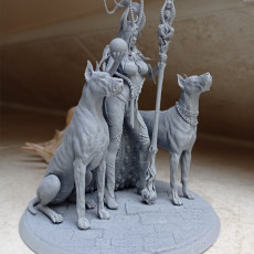 Picture of print of 3 x Great Dane 75&32mm Presupported