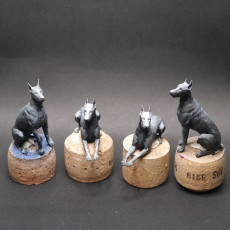 Picture of print of 7 x Doberman 75&32mm Presupported