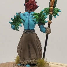 Picture of print of Voodoo Troll with staff