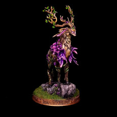 Picture of print of Gentle Forest Spirit - Gwynevel This print has been uploaded by Anna