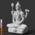 Shiva in Meditation on Tiger Skin image