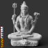 Shiva in Meditation on Tiger Skin image