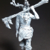 Druidic Barbarian - Treneal print image