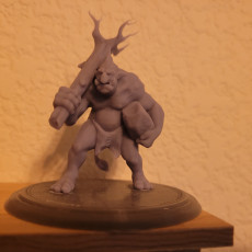 Picture of print of Troll presupported