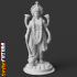 Vishnu - God of Protection & Preservation, Controller of the Omniverse image
