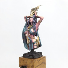Picture of print of Necromancer Bust Presupported