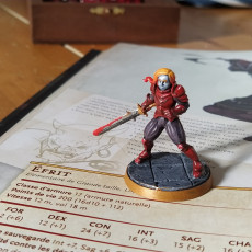 Picture of print of Female knight (unpainted)