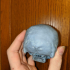 Human Skull remix image