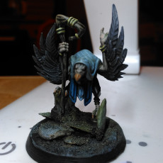 Picture of print of Featherfolk Wizard