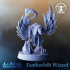 Featherfolk Wizard image